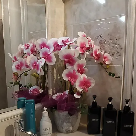 Vakantiehuis Ribero's - Center - Quite Zone San Remo